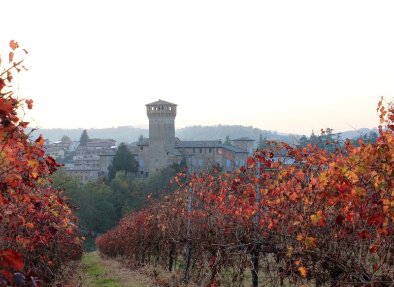 lambrusco italia