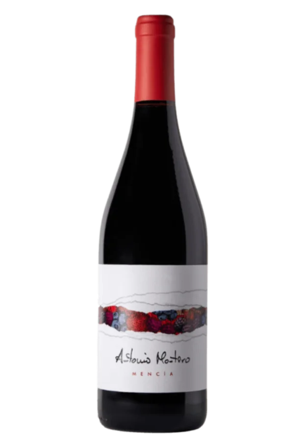 11709 antonio montero mencia