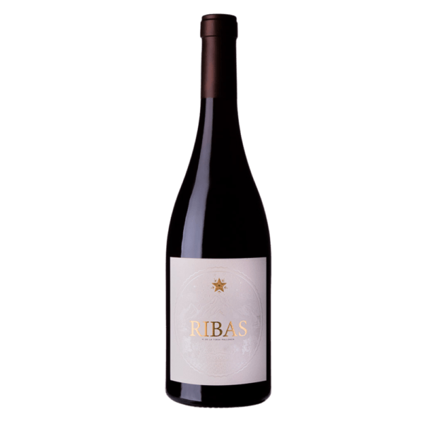 vino ribas