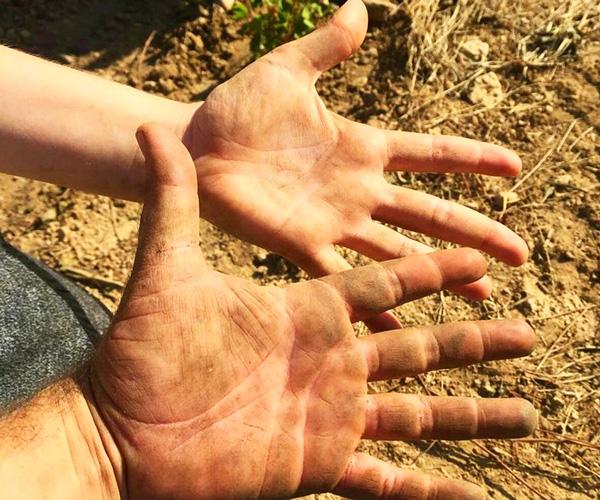 espumoso colet assemblage extra bru