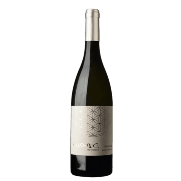 còsmic gratitud sauvignon blanc 2023