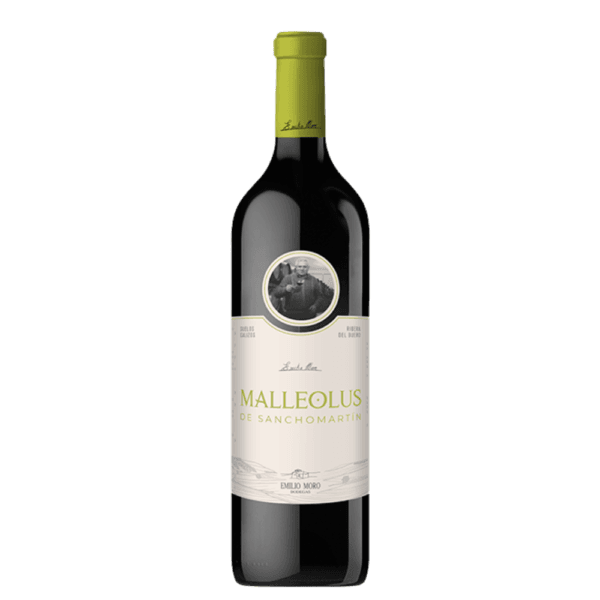 vino em malleolus sanchomartin