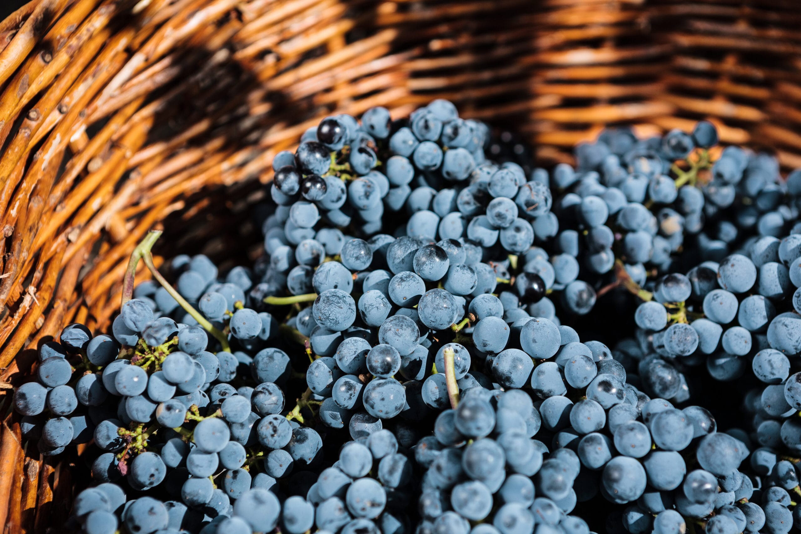 grapes in wicker basket