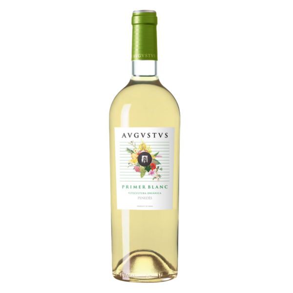 vino avgvstvs primer blanco