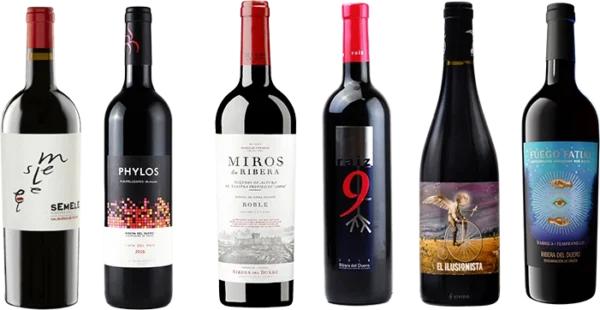lote selección ribera duero 12 ud