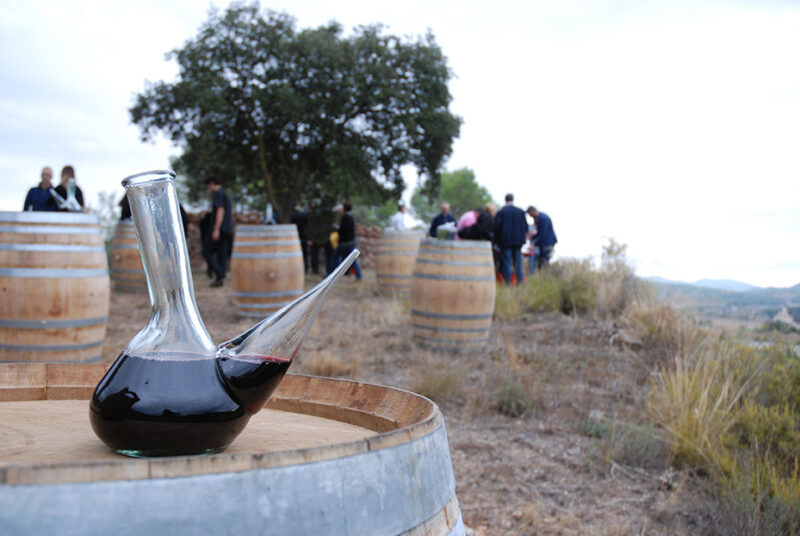 vino el sagal blanco