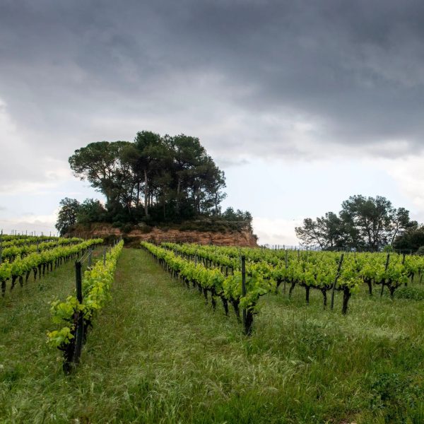 cava pregadeu natural b.nature