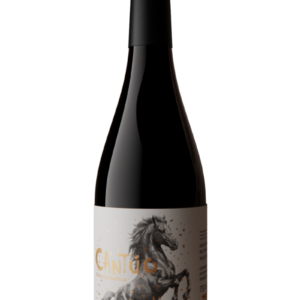 vino cantuo