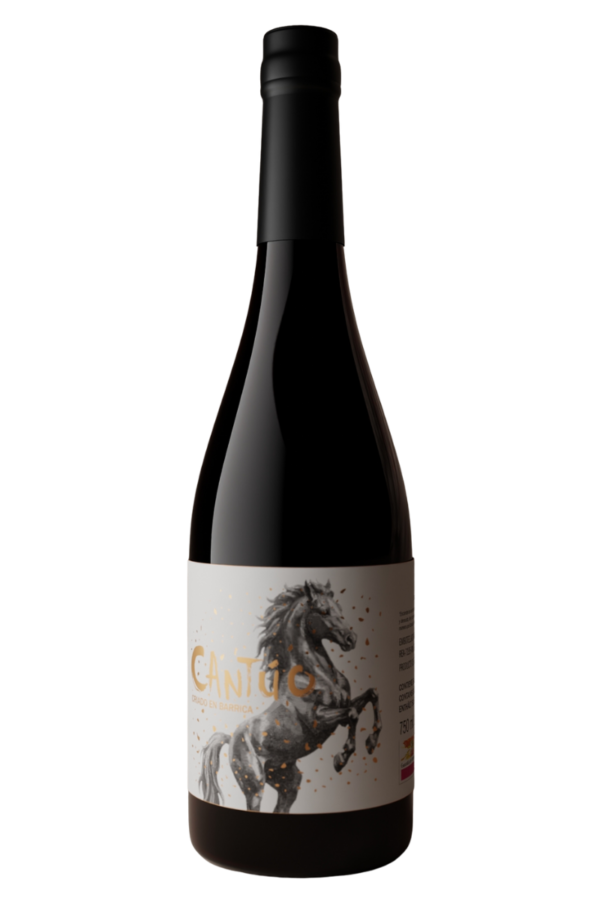 vino cantuo