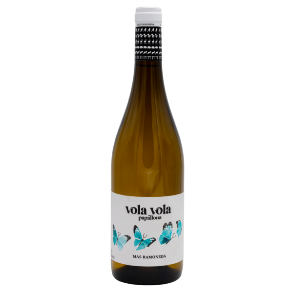 vino vola vola papallona blanco