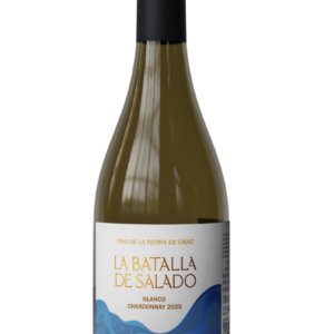 vino la batalla de salado blanco