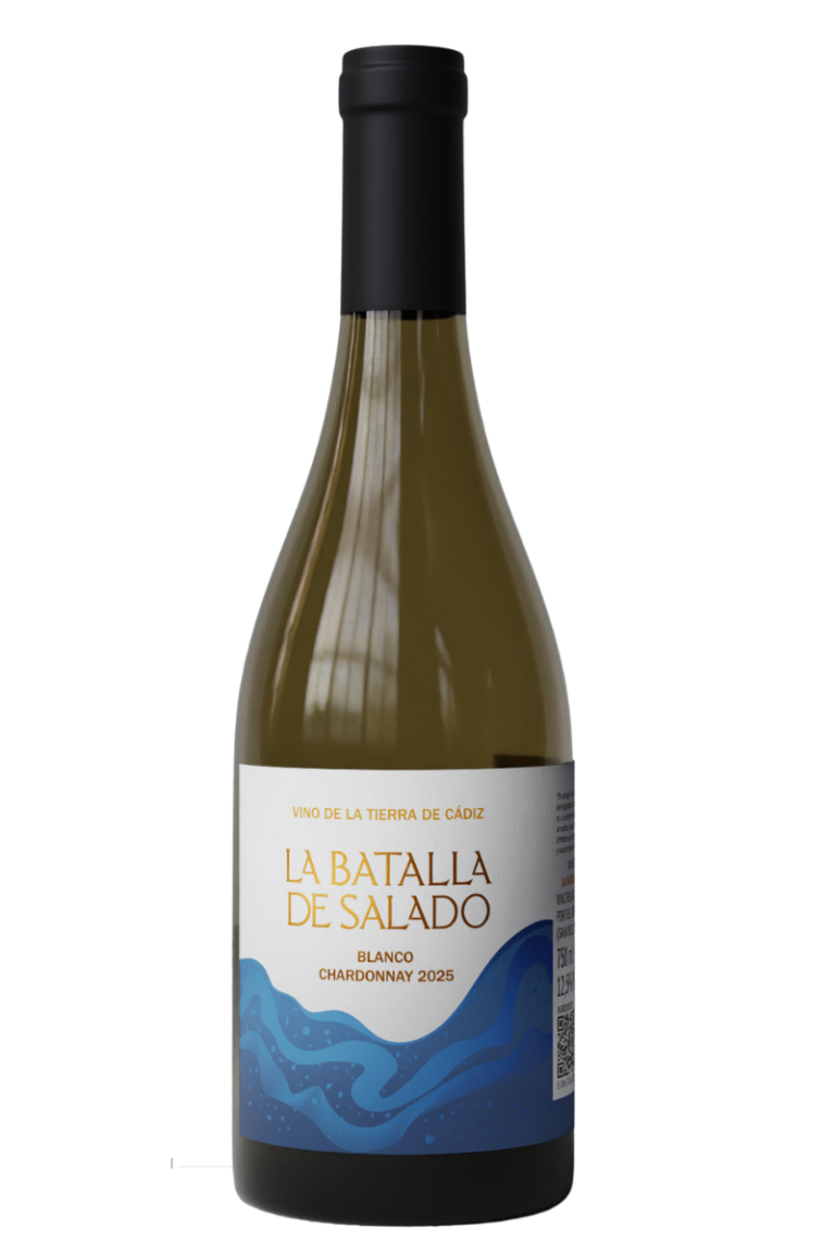 vino la batalla de salado blanco
